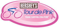 <i>Hershey's Tour de Pink</i> Logo